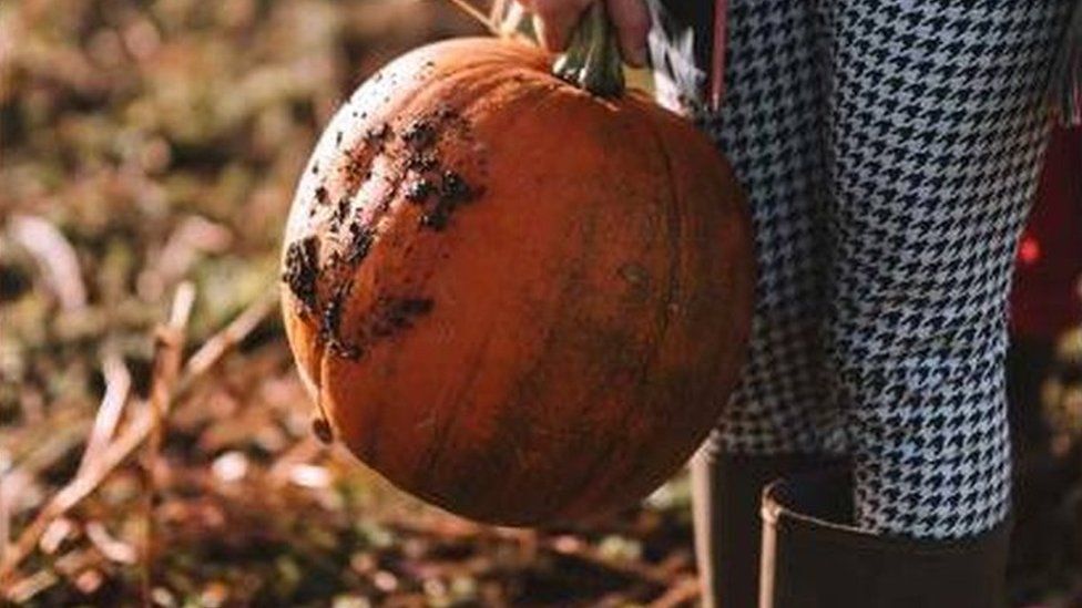 A person in wellies holds a pumpkin at Forage Farm, near Cowbridge