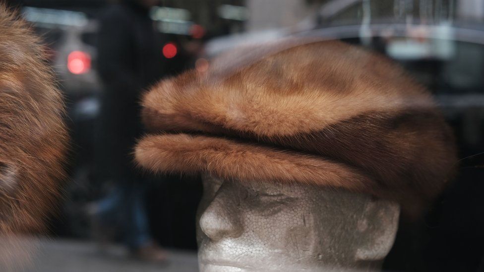 Fur hats in a shop window
