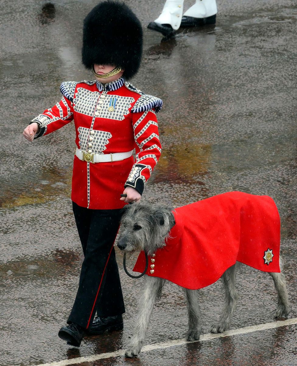 Seamus, the Irish wolfhound, with member of the Irish Guards