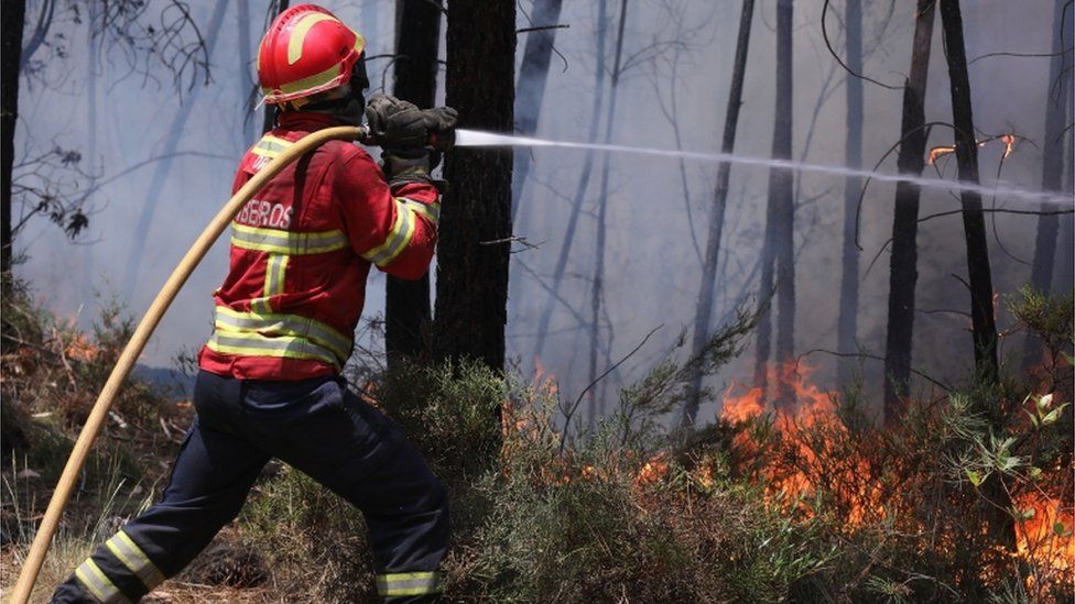 A Portuguese firefighter hoses a fire in Alto da Louriceira, Pedrógão Grande region, central Portugal, 20 June 2017