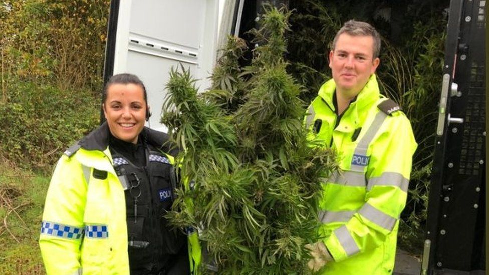 Police officers with the plants