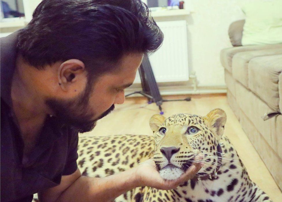Ukraine: India doctor stranded with a jaguar and panther - BBC News