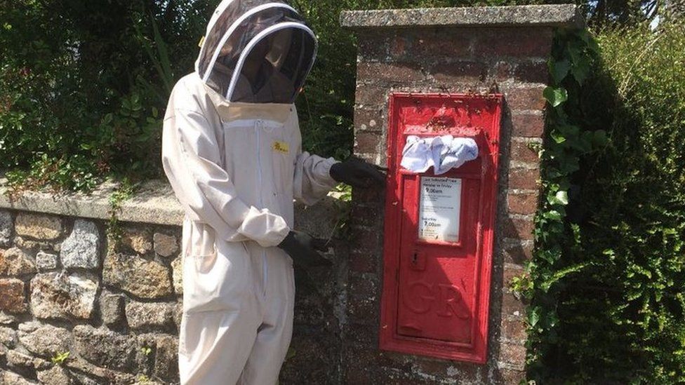 Bee keeper with phone box