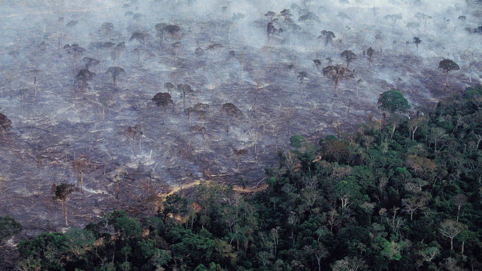Aerial view of Amazon rainforest burning in 2017