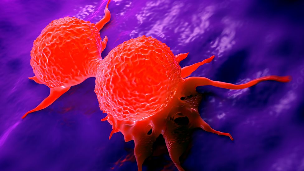 Делящиеся клетки рака молочной железы