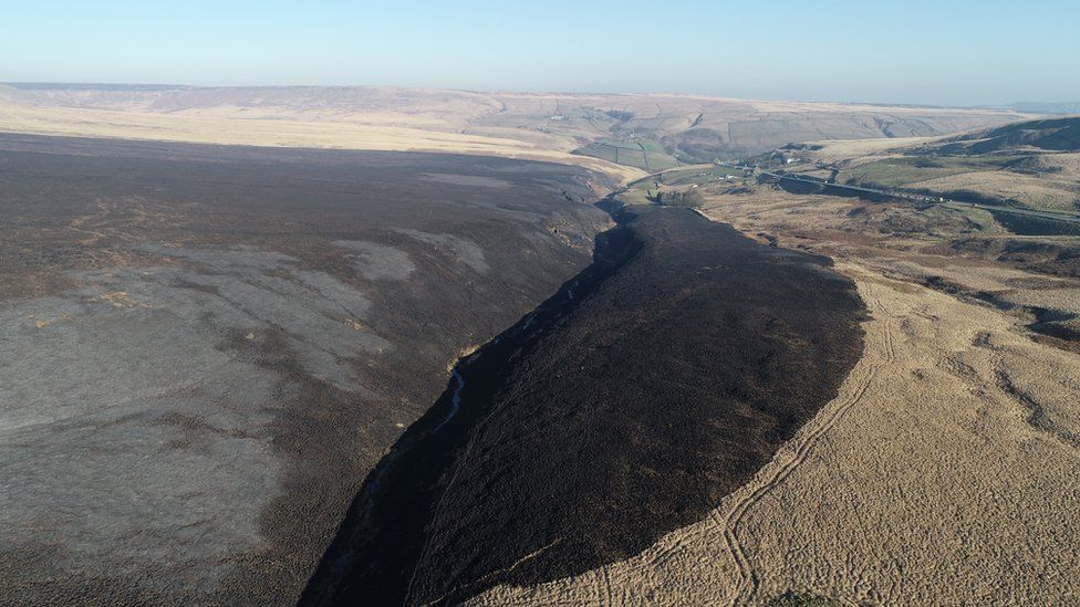 Damage casued by moorland fire