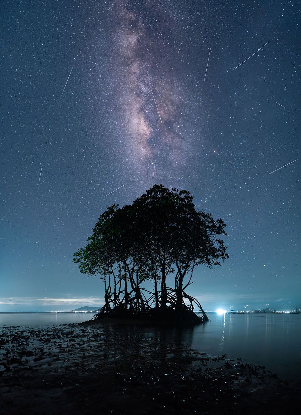 Lights from Bais City, the Milky Way and the Lyrid meteor shower next to mangrove trees in the Philippines