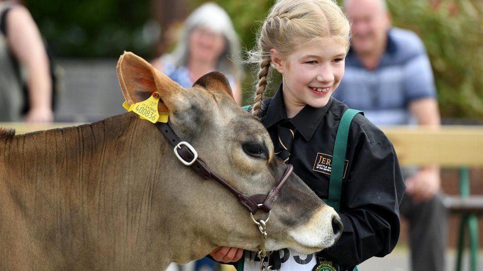 Girl holding a cow