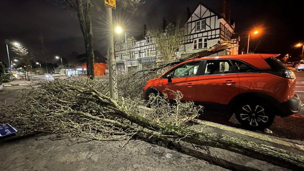 Fallen tree on a car in Belfast on 21 January 2024