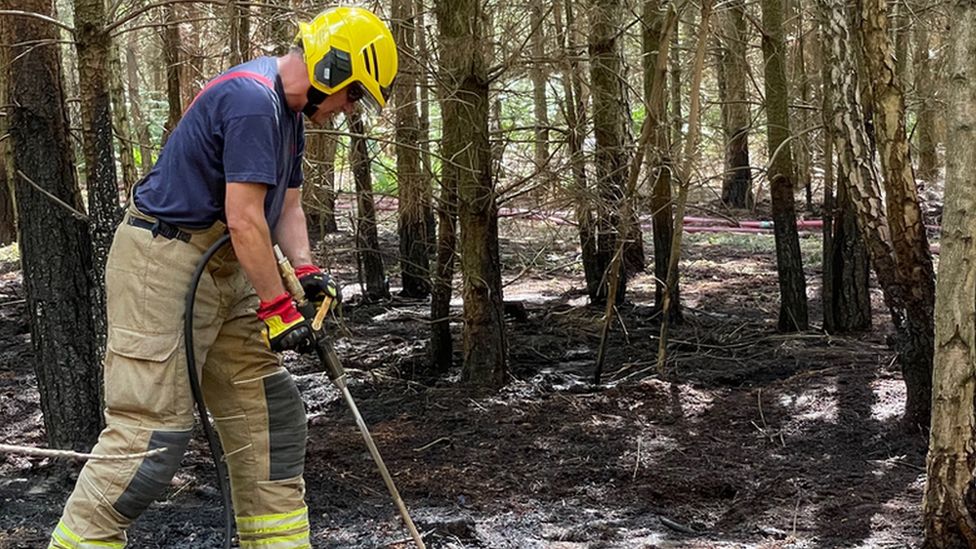 Firefighter dampening the ground after forest fire in Ickburgh