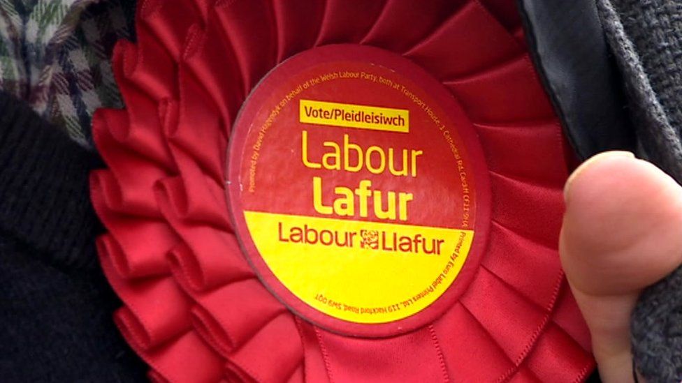 Welsh Labour rosette