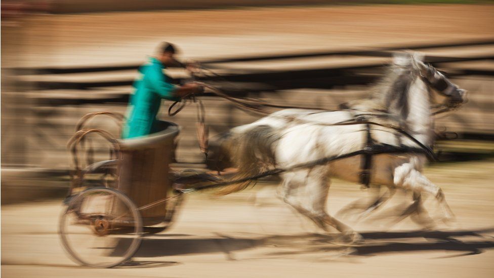 A Roman chariot racer travelling at speed
