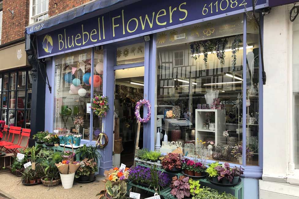 Bluebell Flowers in Newport Pagnell