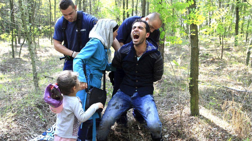 Hungarian policemen detain a Syrian migrant family after they entered Hungary at the border with Serbia, near Roszke, August 28, 2015.