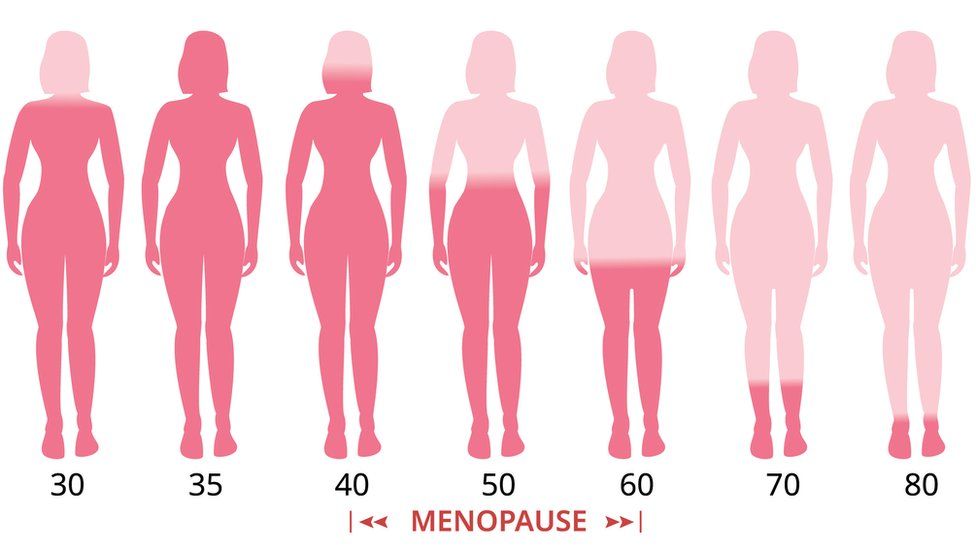 Oestrogen levels in the female body throughout life