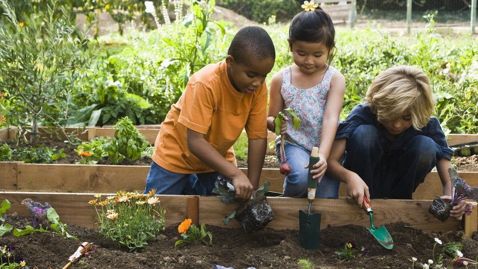 children gardening