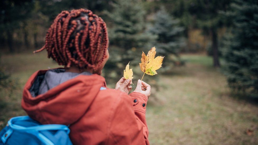 Woman holding autumn leaf