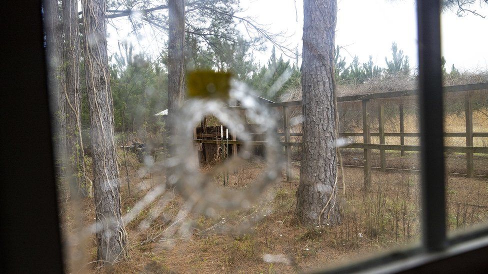 Bullet holes on the property