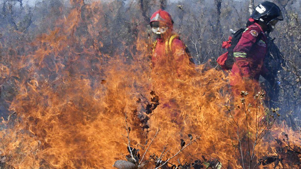Firefighters try to control a fire near Charagua, Bolivia, in the border with Paraguay, south of the Amazon basin, on August 29, 2019