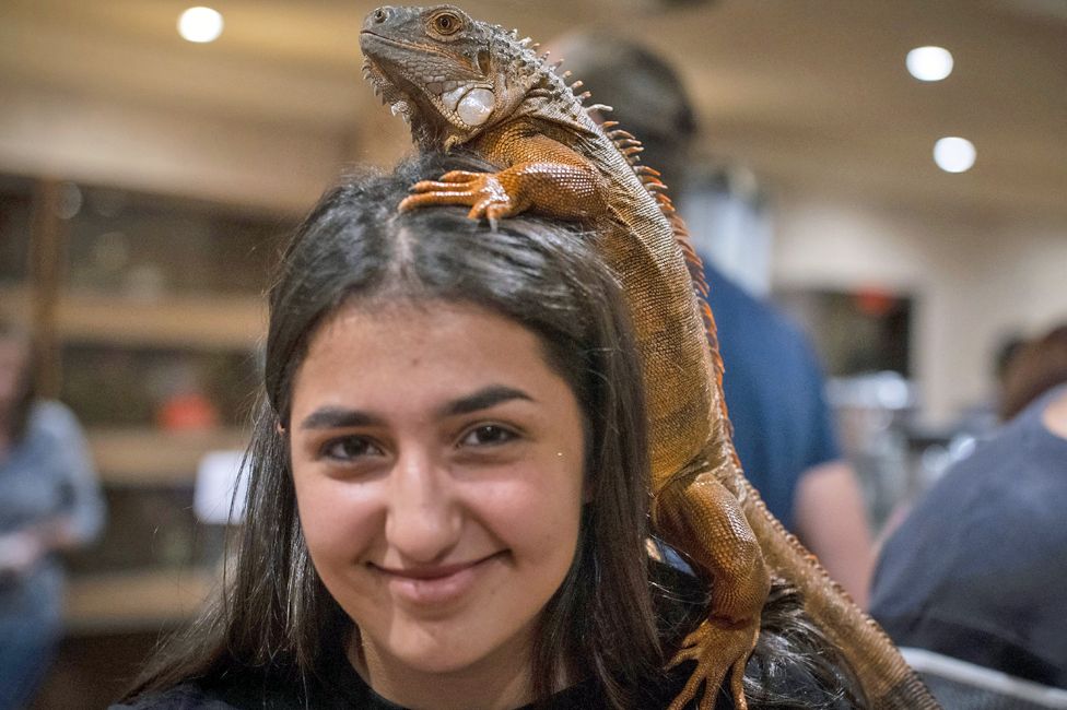 Exotic animal fair held in Johannesburg, South Africa on April 30, 2023