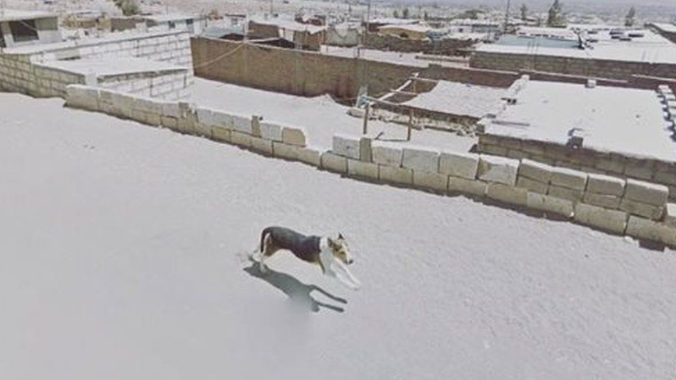 A street dog chases the Google car Arequipa, Peru