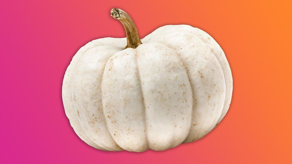 White pumpkin