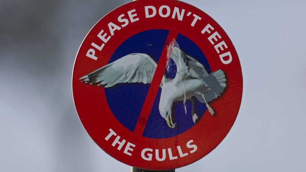 Don't feed the birds sign
