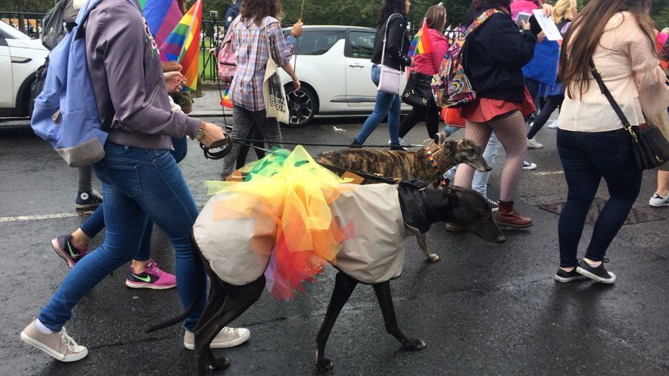 dogs at Pride Glasgow parade