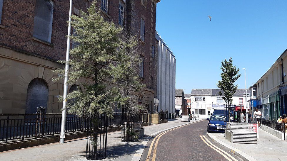 trees in Edward Street