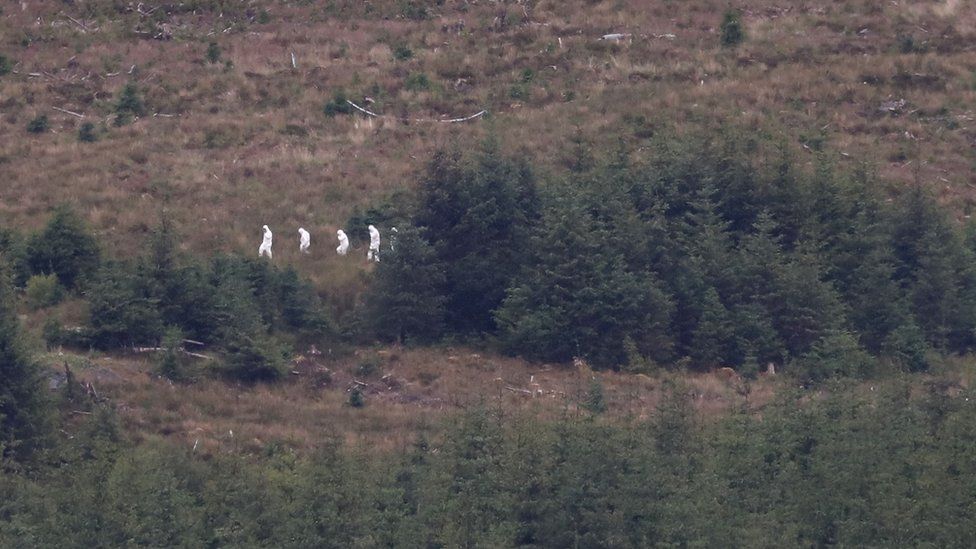 Searching in the Galloway Forest