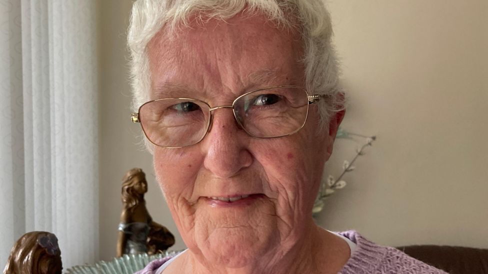 Abbey Estate residents in Thetford vow to fight homes plan BBC News