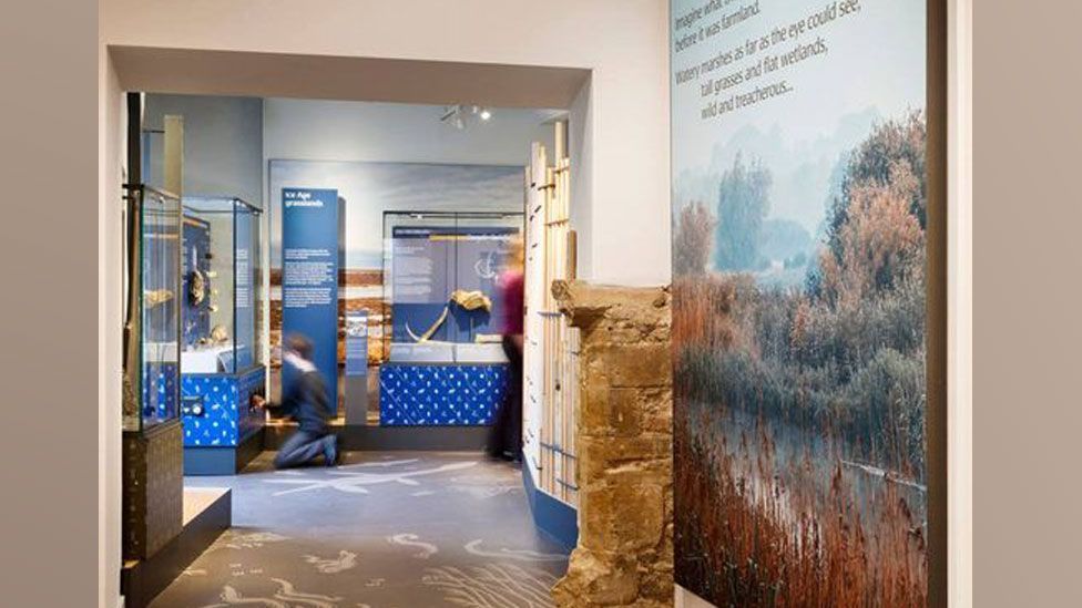 Inside Ely Museum showing images of a nature museum with a blured out figure of a child kneeling in front of one of the displays