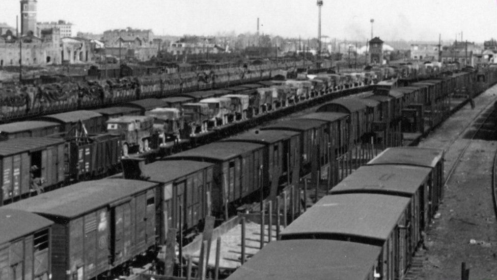 Cattle trucks in Germany