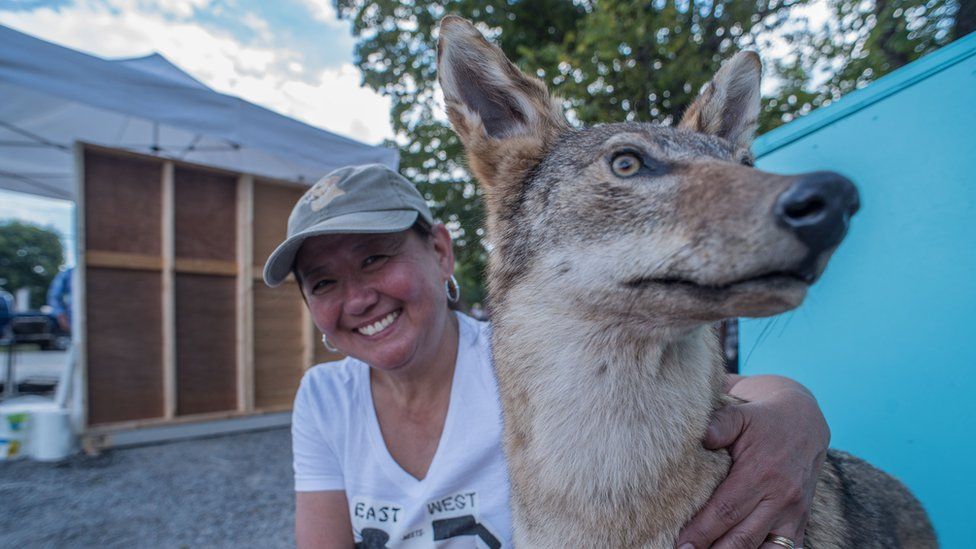 Lady with stuffed coyote.