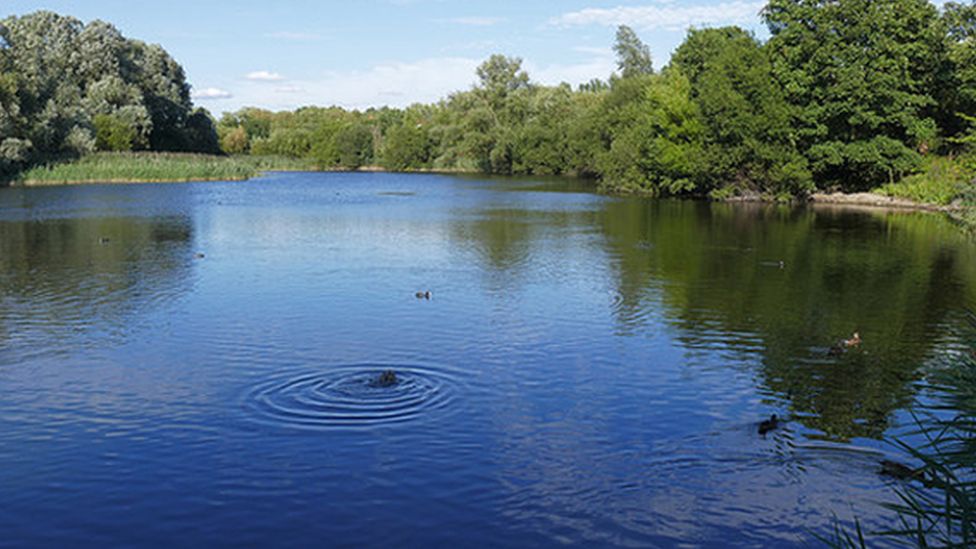 Body found in search for swimmer missing in Bedfont Lakes - BBC News