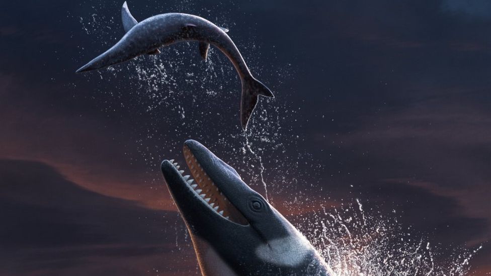 Giant Thalassotitan atrox sea lizard found in Morocco BBC Newsround