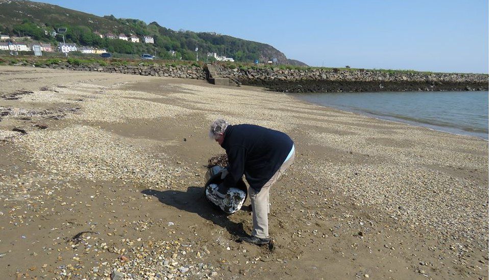 Dog walkers warned after palm oil washes up on beach BBC News