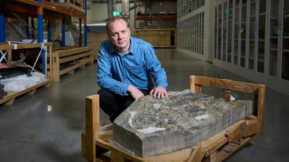 Palaeontologist Lachlan Hart poses with the Temnospondyli fossil