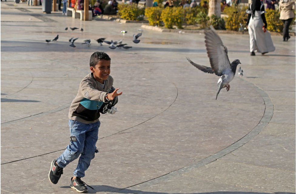 Young boy chasing pigeons