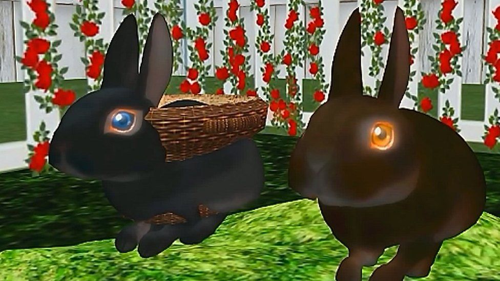 Virtual rabbits