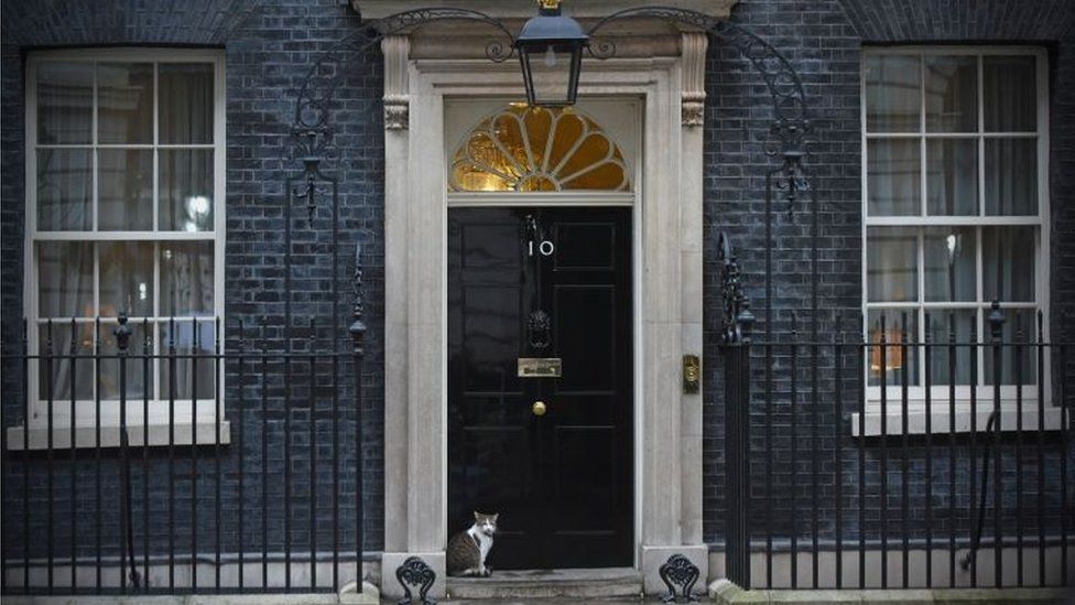 Larry the Downing street cat sitting on the doorstep of No 10 Downing Street