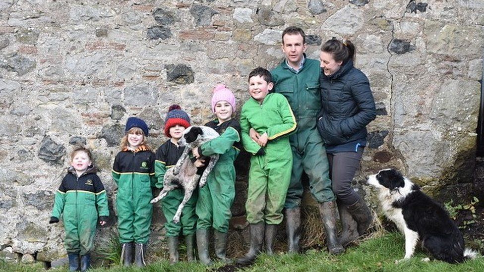 Jackson family store farm border collies