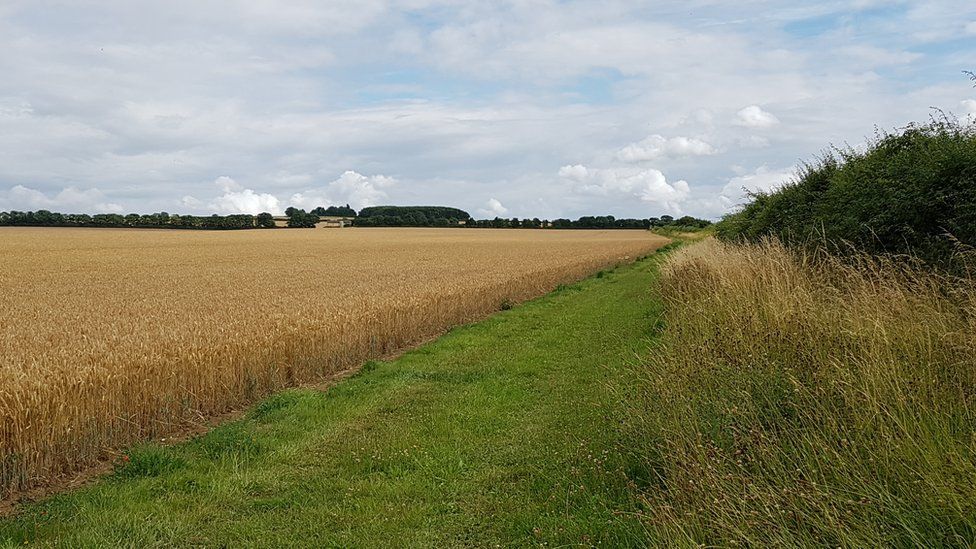 The Roman Road and Fleam Dyke