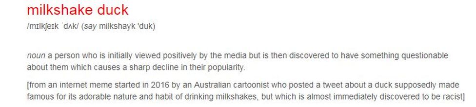 A dictionary entry for 'milkshake duck' says: "(noun) a person who is initially viewed positively by the media but is then discovered to have something questionable about them which causes a sharp decline in their popularity"