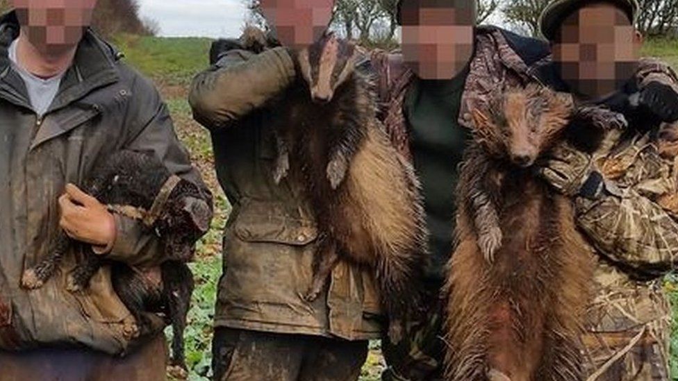 Five men from Bradford appeared in court after posting a photo of badgers dug out of a sett on Instagram