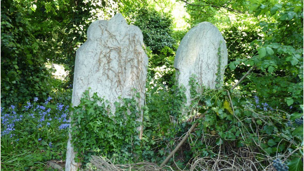Overgrown graves