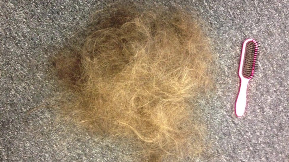 Hair that has fallen out