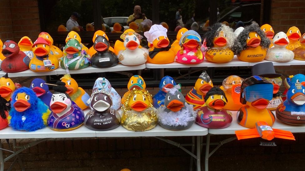 Staines: Captain 'Quack' Sparrow wins duck competition - BBC News