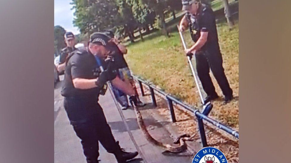 Officers with the snake