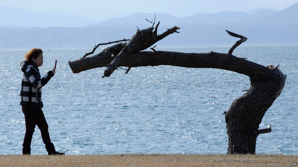 A woman takes a photo of the "dragon" tree with the sea in the background